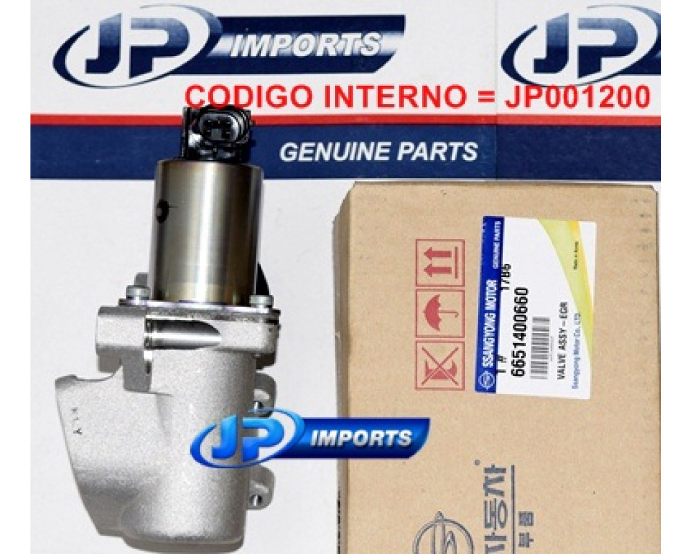 Ssangyong egr remover